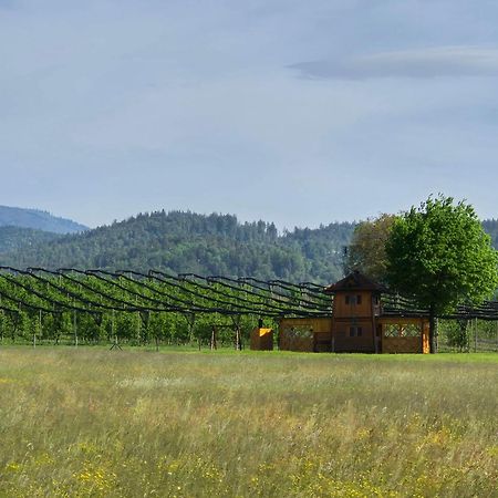 Unique Wooden Holiday House In Nature Lukovica pri Domzalah ภายนอก รูปภาพ